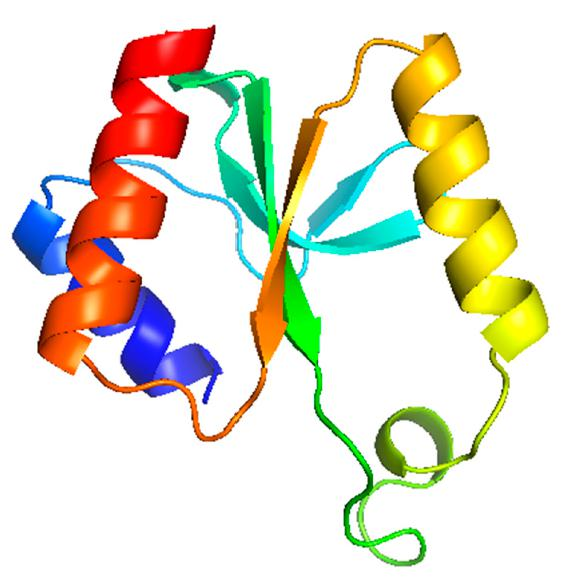 基于噬菌体基因组学的HPUFs筛选方法，系统识别噬菌体编码的有毒产物