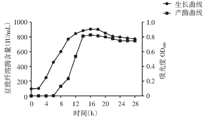 豆豉纤溶酶产酶菌株生长曲线与产酶曲线