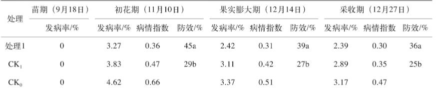 类球红细菌对植物的作用有哪些【田间草莓种植实验】