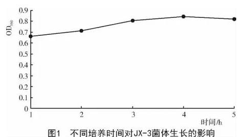 银杏内生细菌JX-3最佳生长条件与影响因素