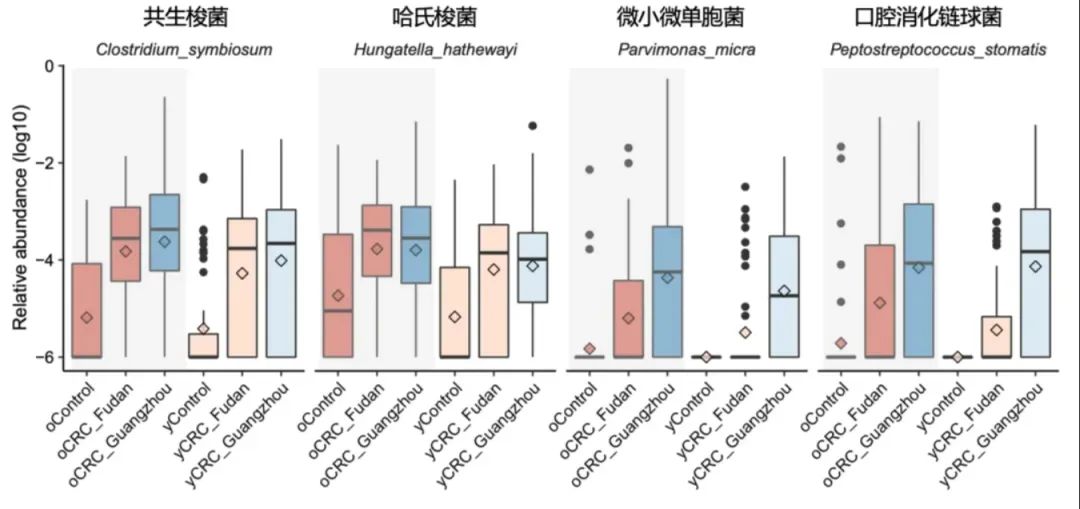 肠道粪便微生物与结直肠癌有何关联？