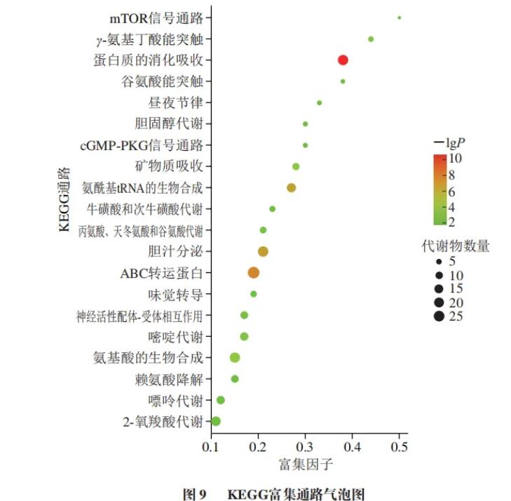 新一代益生菌Akk在两种培养基中的生长情况与差异性代谢组学分析结果（二）