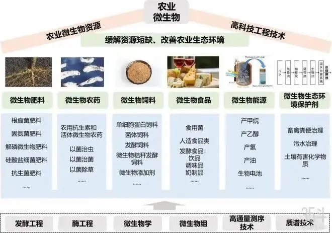 一文了解什么是农业微生物和农业微生物产业