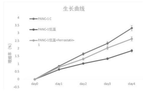 利用CIRBP作为胰腺癌诊断及治疗分子标记物（细胞增殖生长曲线检测步骤）