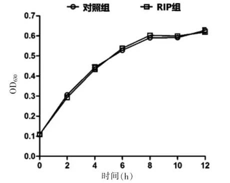 RIP 衍生物对​耐甲氧西林金黄色葡萄球菌生长曲线及生物膜形成的影响（一）