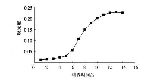 苏云金芽孢杆菌生长曲线、吸光度变化曲线及最侍活化时间