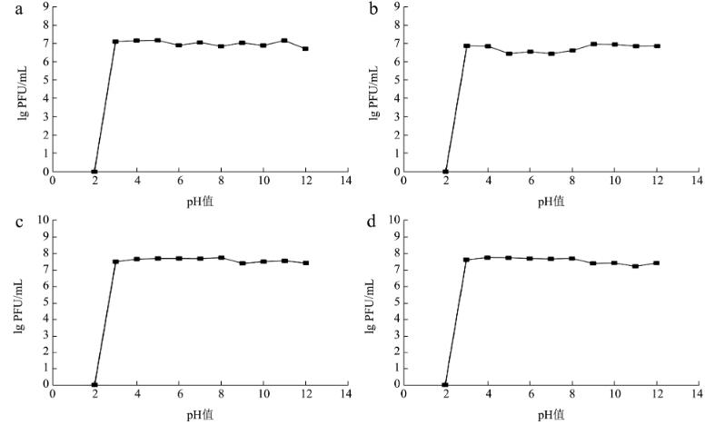 ​4株金黄色葡萄球菌噬菌体形态、生物学特性、生长曲线及基因组特征（二）