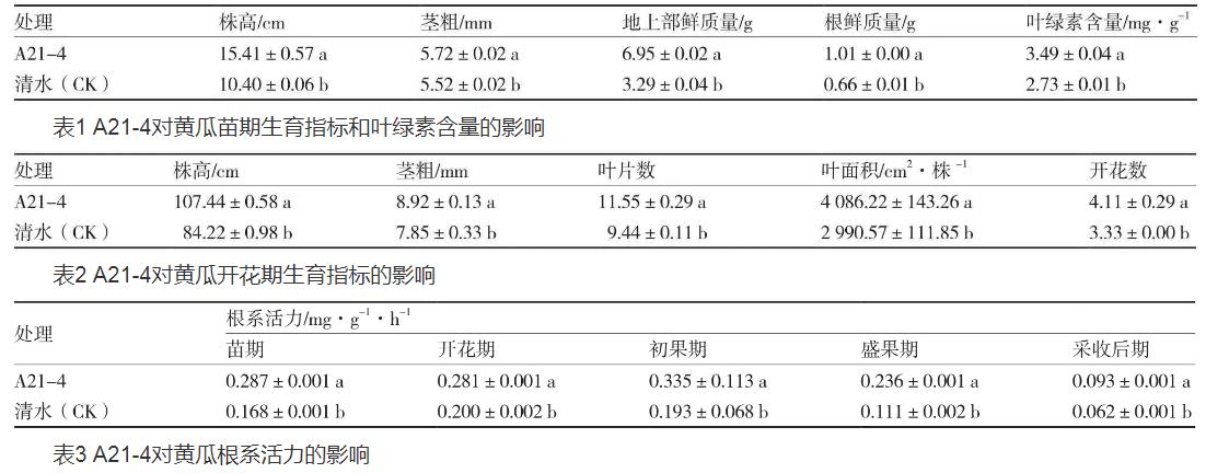 普城沙雷菌对黄瓜生长品质、根际土壤微生物数量的影响（一）