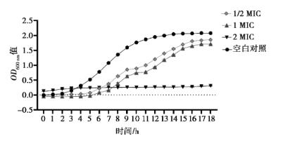 中药单体组合物绿原酸、黄芩苷、厚朴酚对大肠杆菌生长曲线的影响