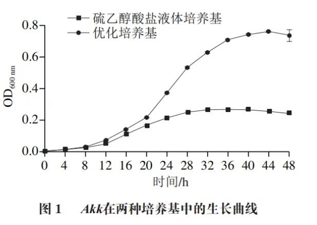 ​嗜黏蛋白阿克曼菌在硫乙醇酸盐液体培养基中的生长情况与代谢产物（一）