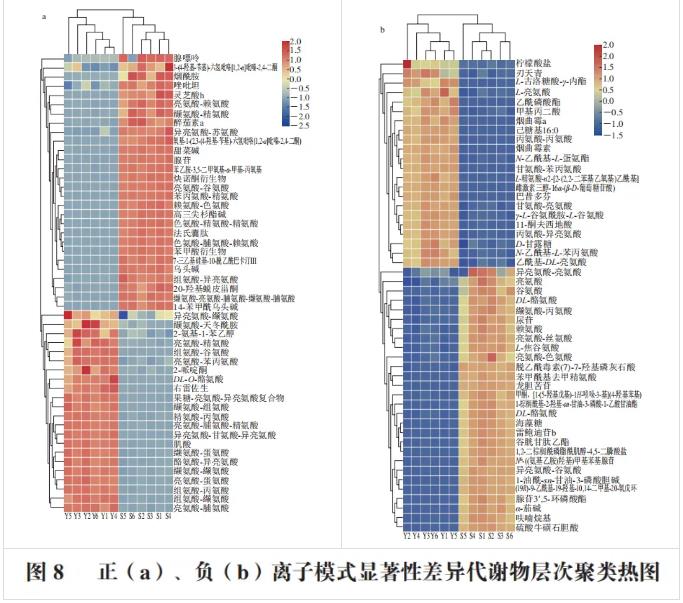 嗜黏蛋白阿克曼菌在硫乙醇酸盐液体培养基中的生长情况与代谢产物（二）