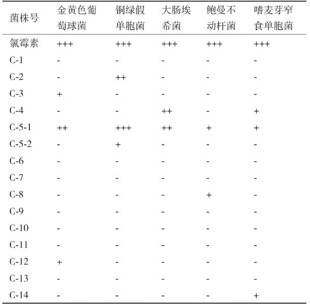 豨莶草果实内生细菌分离、鉴定、生长特性、抑菌效果及药敏分析（一）