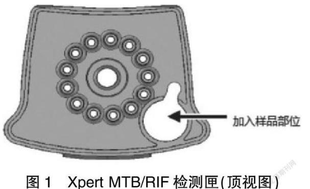 临床结核分枝杆菌体外药敏试验：分子DST检测VS表型DST药敏诊断技术（一）