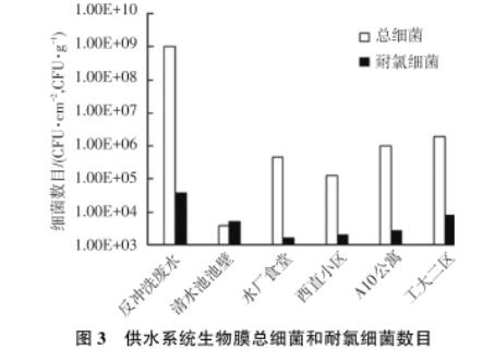 东北某市寒区湖库型主体水和生物膜中耐氯菌数目、再生长现象研究（二）