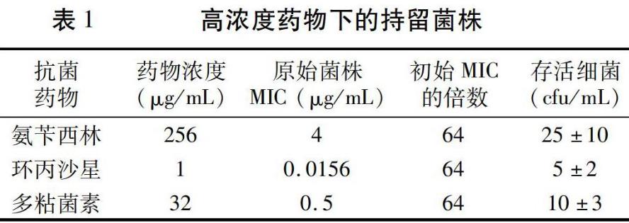 三种抗菌药物处理后持留菌株和抗药菌株生长曲线、优势的比较——摘要、材料与方法