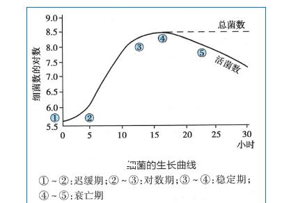 细菌生长曲线时期划分、生长繁殖条件及规律