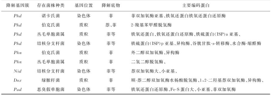 综述微生物修复菲污染中降解菌的菌属、降解机理、分子机制、影响因素（三）