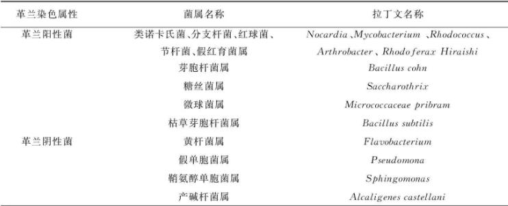 综述微生物修复菲污染中降解菌的菌属、降解机理、分子机制、影响因素（一）