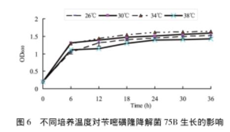 苄嘧磺隆降解菌株75B的生长曲线、生长及降解（二）