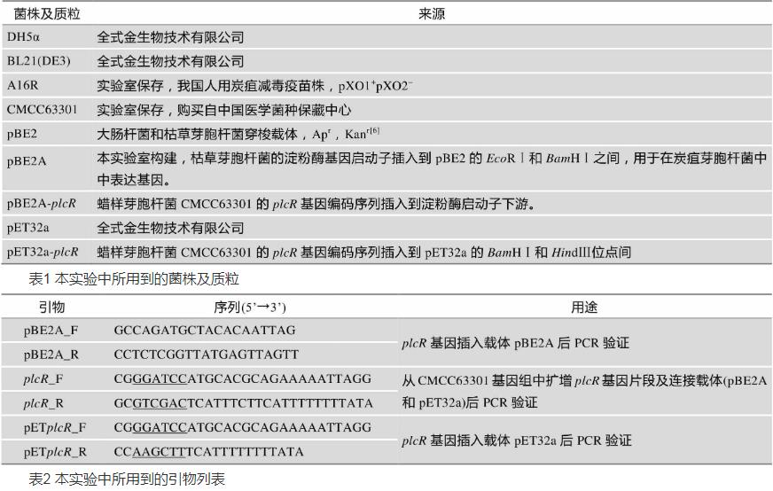 PlcR在炭疽芽胞杆菌A16R中对其生长状态、溶血酶活性及神经磷脂酶活性影响（一）