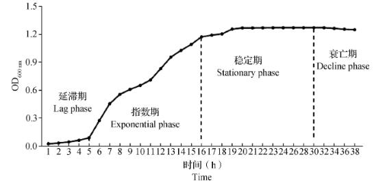 红螯螯虾源布氏柠檬酸杆菌分离鉴定和耐药性分析（二）