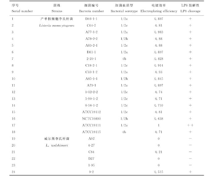 产单核细胞李氏杆菌噬菌体分离、超离、宿主谱鉴定及生长曲线绘制（二）