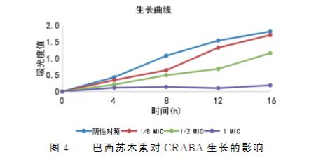 不同浓度巴西苏木素对耐碳青霉烯类鲍曼不动杆菌生长及抑制作用（一）